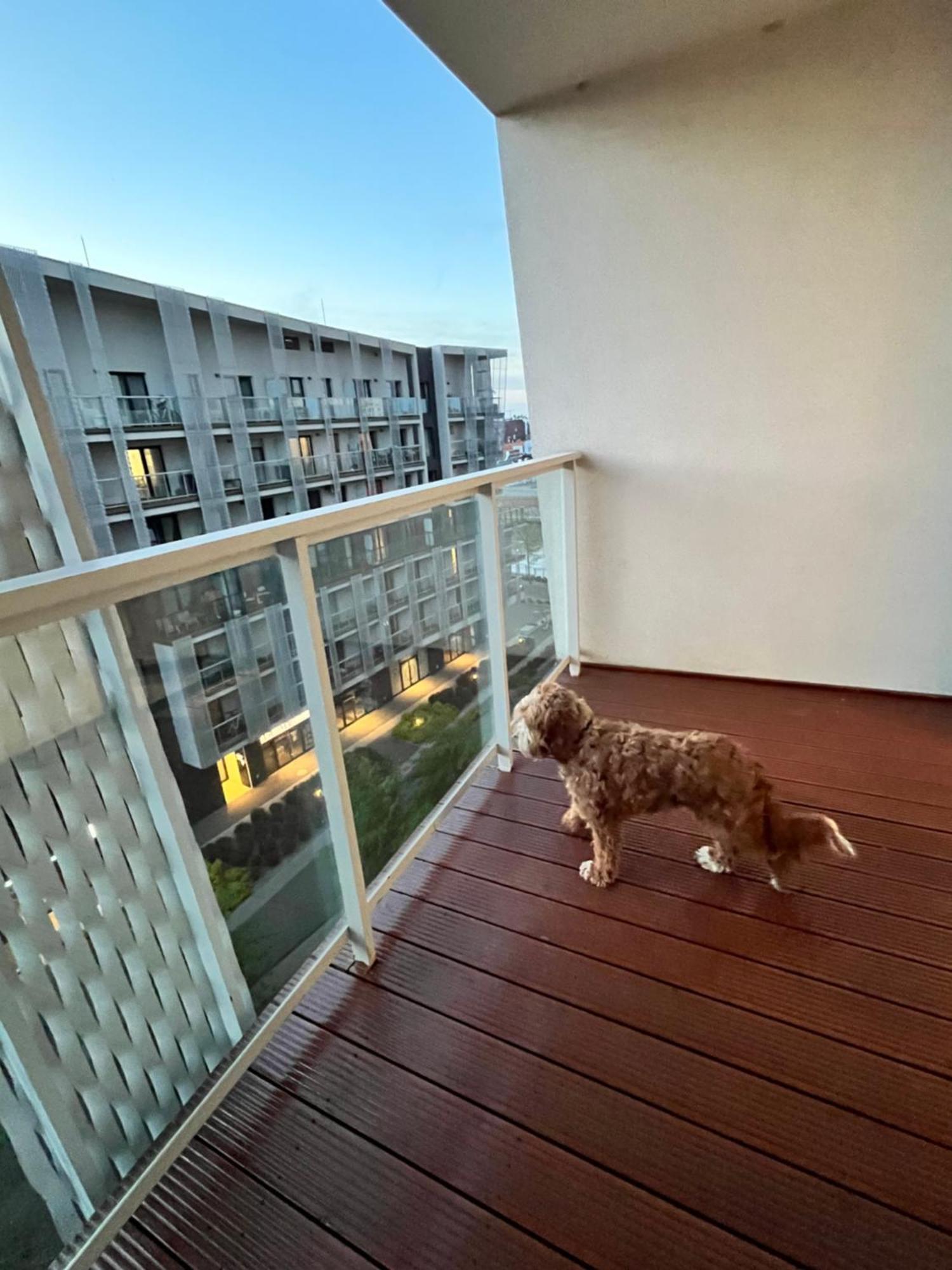 Family House By The River Odra -Panoramic Terrace - 3Room Apartment With 2 Separate Bedrooms And 2 Balconies By Wroapart-Pl- Perfect For Family & Business Stays Wrocław Exteriör bild